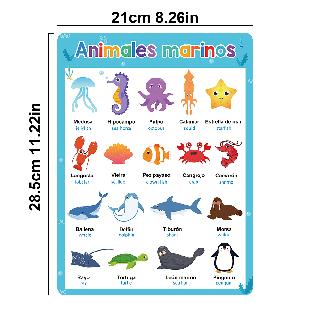 Spanish English Bilingual Word - مراجعة Phonics Card Game وسعره