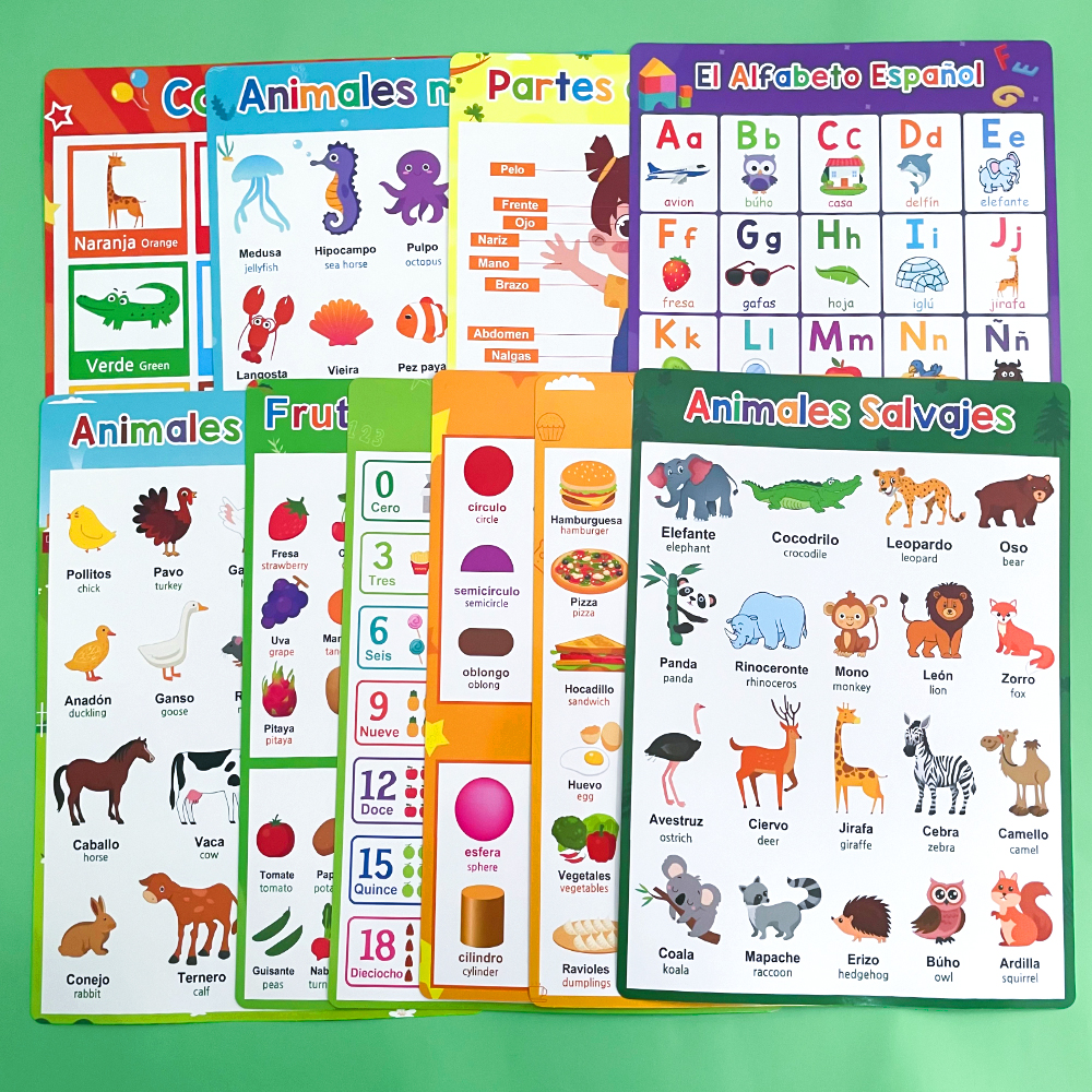 Spanish English Bilingual Word - مراجعة Phonics Card Game وسعره