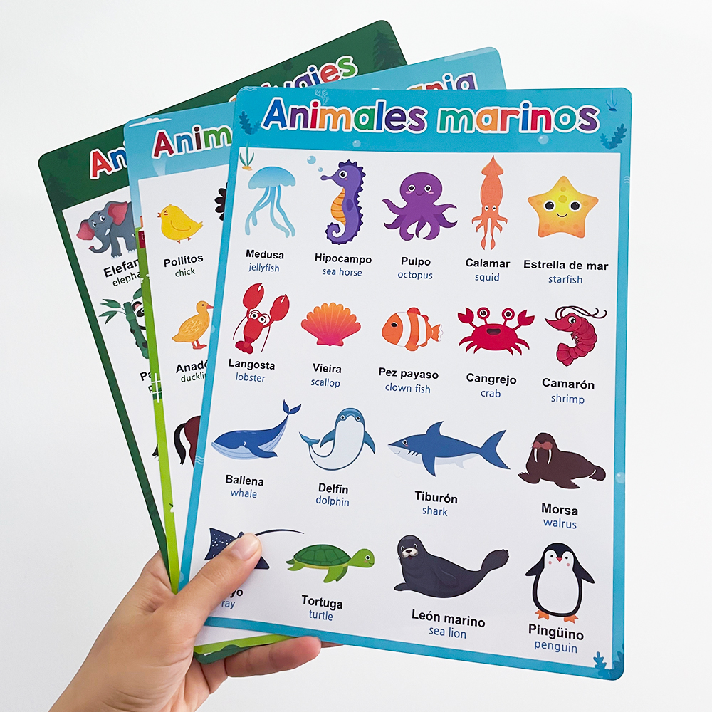 Spanish English Bilingual Word - مراجعة Phonics Card Game وسعره