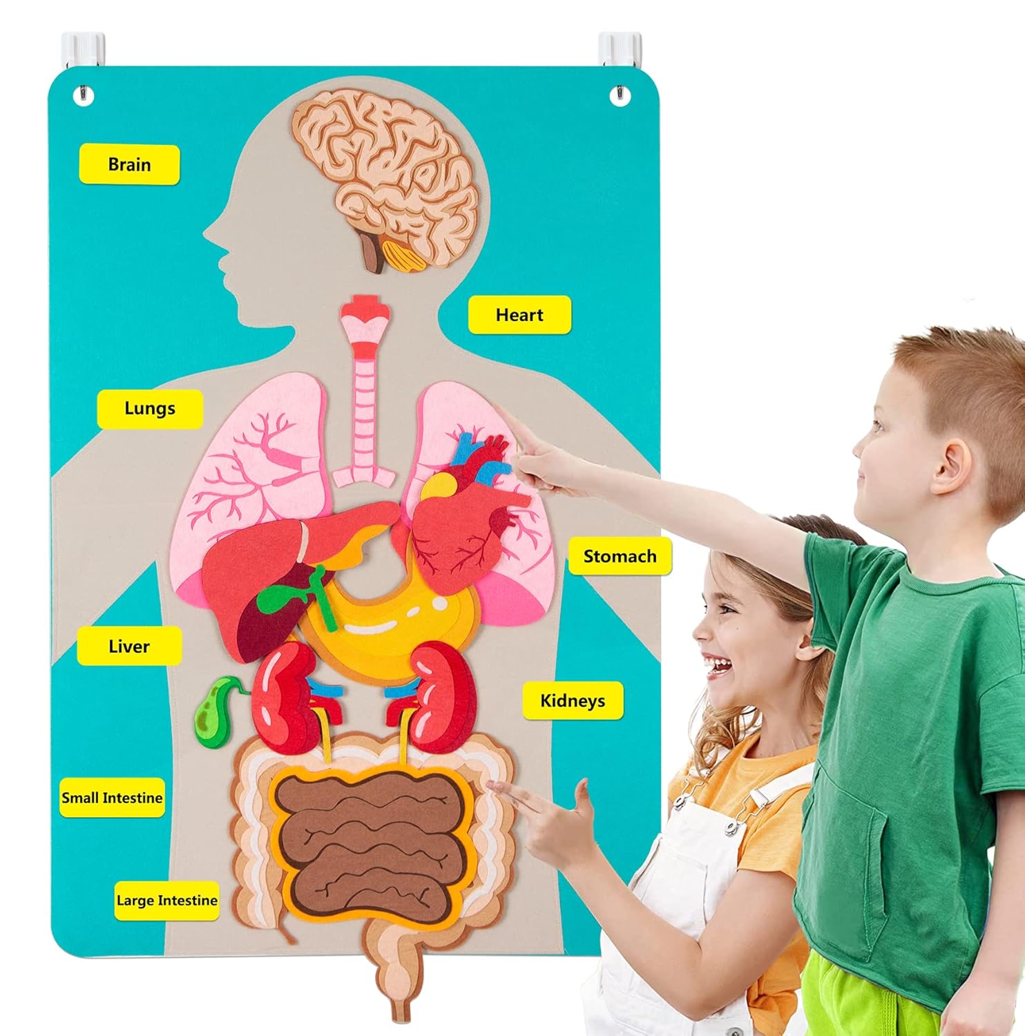 Human Body Parts Felt Board St - مراجعة Kids Education Story وسعره