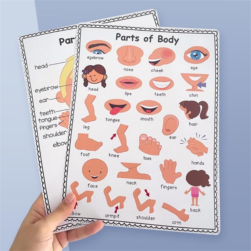Colorful Educational Poster Te - مراجعة Kids Educational Poster وسعره