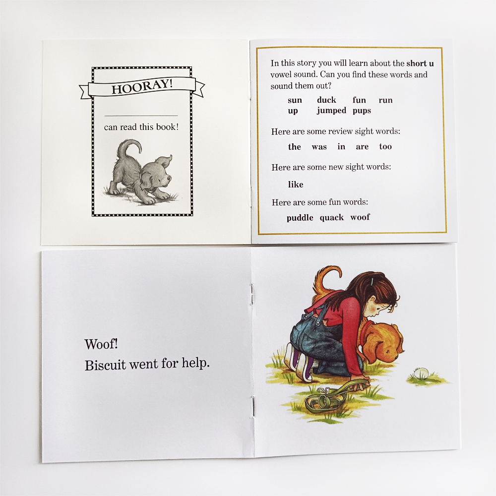 Biscuit I Can Read Phonics Sto - مراجعة Kids Education Story وسعره
